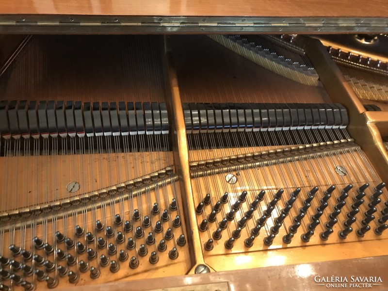 Beautiful Viennese antique piano armor