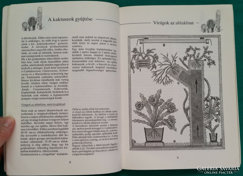 'Ewald Kleiner: Kaktuszok a lakásban és a kertben > Növényápolás > Virágtermesztés > Kaktuszok