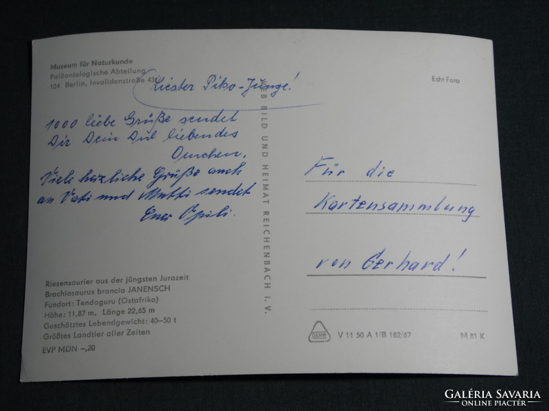 Képeslap,Postcard,Németország,Berlin,Museum für Naturkunde,természetrajzi múzeum, dinoszaurusz csont