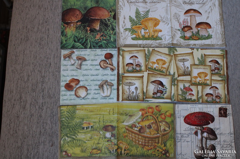 6 napkin mushrooms