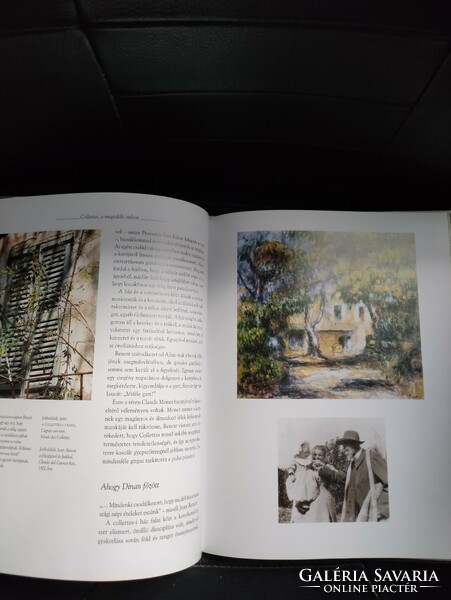 Renoir art and gastronomy photo album.