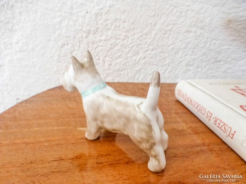 Aquincumi terrier porcelán kutya