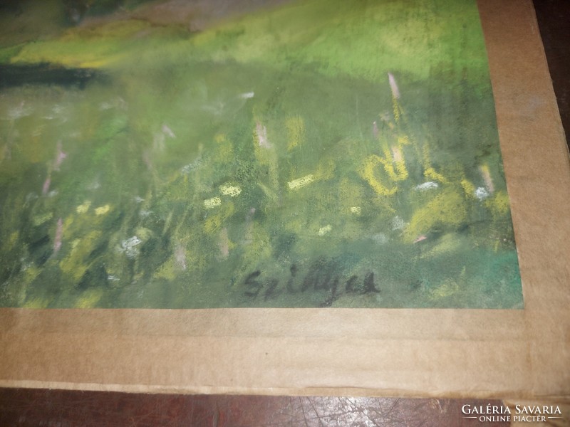 Szinyei signature pastel painting, size indicated!
