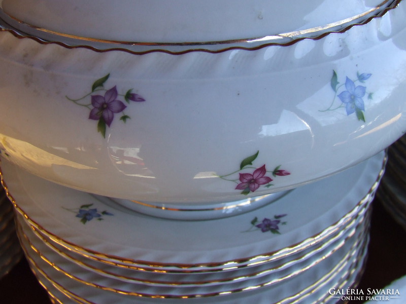 Antique thun tableware for 12 people