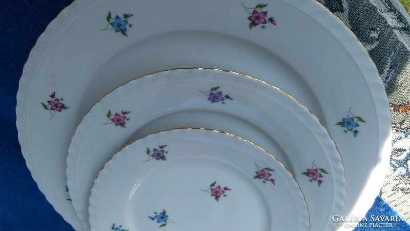 Antique thun tableware for 12 people