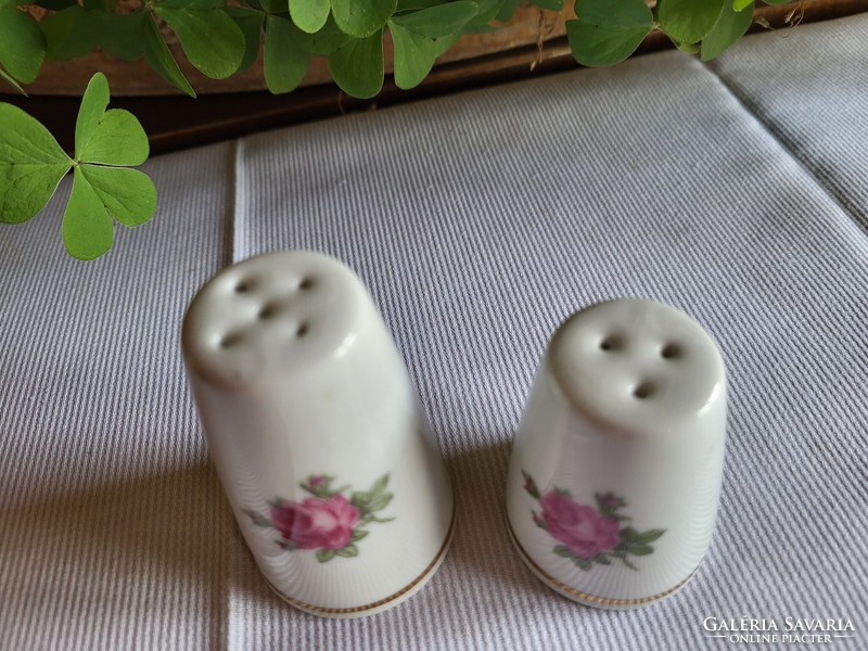 Pair of porcelain salt and pepper shakers