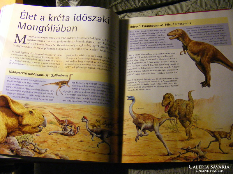 Dinoszauruszok és más ősi hüllők - Chris McNab  2007