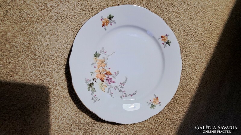 Colditz leaf pattern porcelain plate set