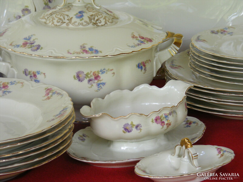 Alt-schönwald antique tableware, tea set, coffee set