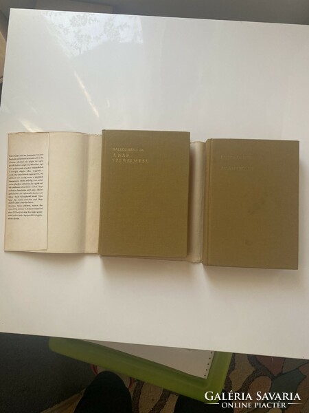 Sándor Dallos the lover of the sun / gold brush 1976. 2 Volumes