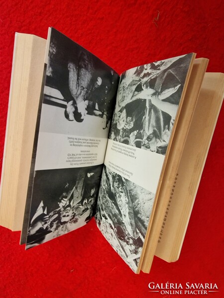 Katyn massacre book