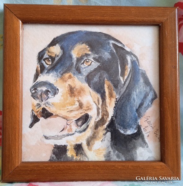 Transylvanian hound framed watercolor 10*10 cm