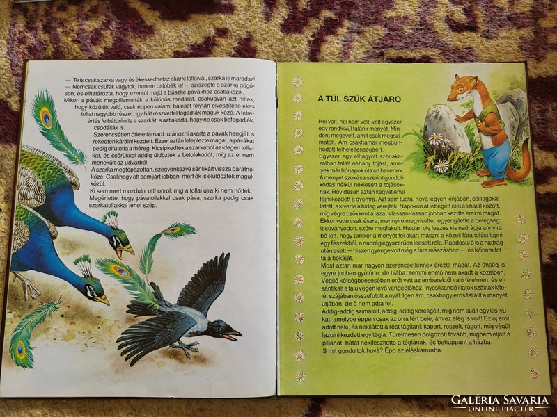 The most beautiful fairy tales in the world: the hare and the tortoise and other fairy tales