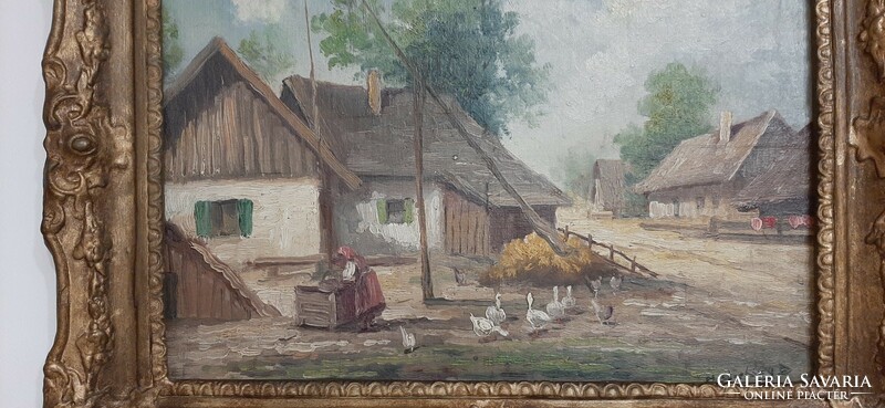 Denes master house, farmhouses, with hen house and geese, 38x28
