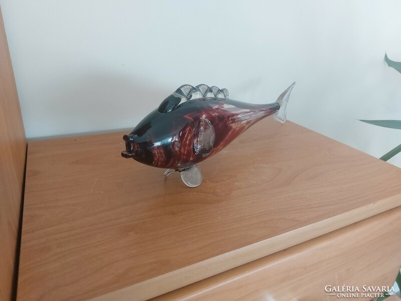 (K) glass fish