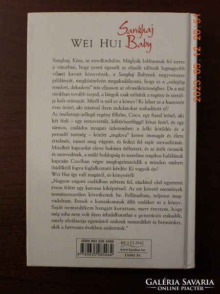 Wei Hui - Shanghai Baby (108)