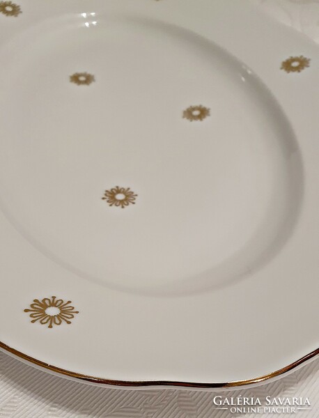 1 piece of Cp colditz quality, old German porcelain tableware. Oval steak dish for sale.