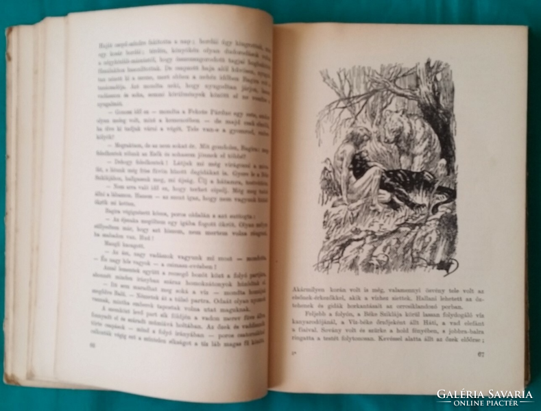 Kipling: A dzsungel könyve > Gyermek- és ifjúsági irodalom > Kalandregény