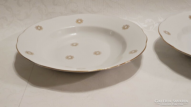 2 pieces of old, cp colditz, German porcelain tableware. Flat plate and 2 pcs. Soup plate.