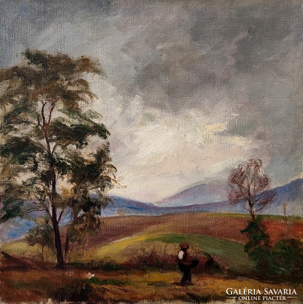 István Boldizsár ( 1897 - 1984 ) Nagybánya landscape, 1927