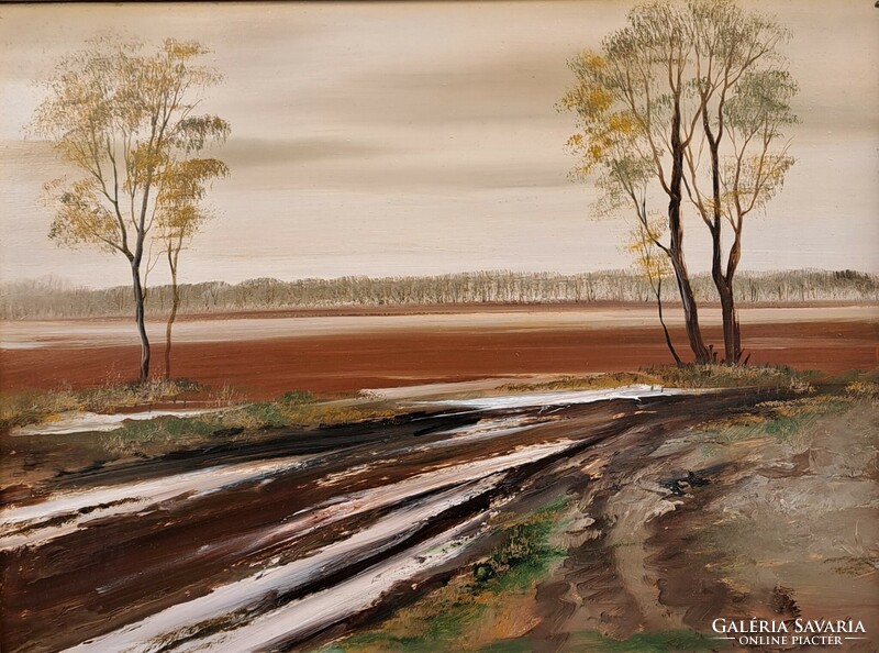 István Reinhardt (1936-): muddy road, picture gallery, 20 eft.!!!