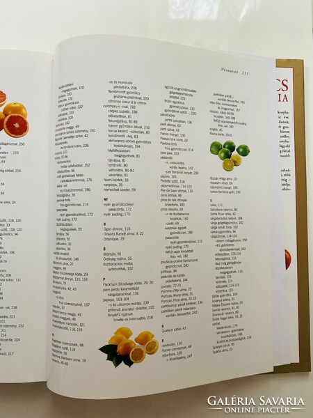 Fruit encyclopedia 256 pages, 30x24 cm beautiful color album