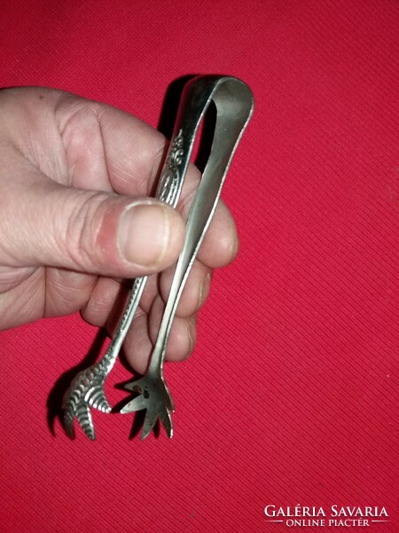 Antique griffin bird claw-shaped mocha sugar tongs tweezers in good condition as shown in the pictures