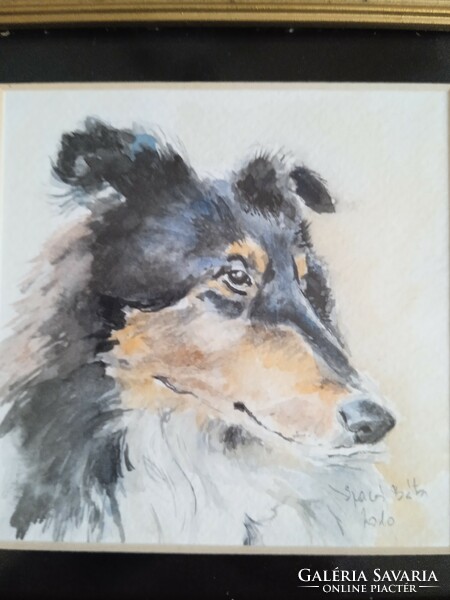 Scottish shepherd dog in a watercolor gold frame