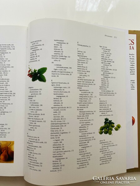 Fruit encyclopedia 256 pages, 30x24 cm beautiful color album