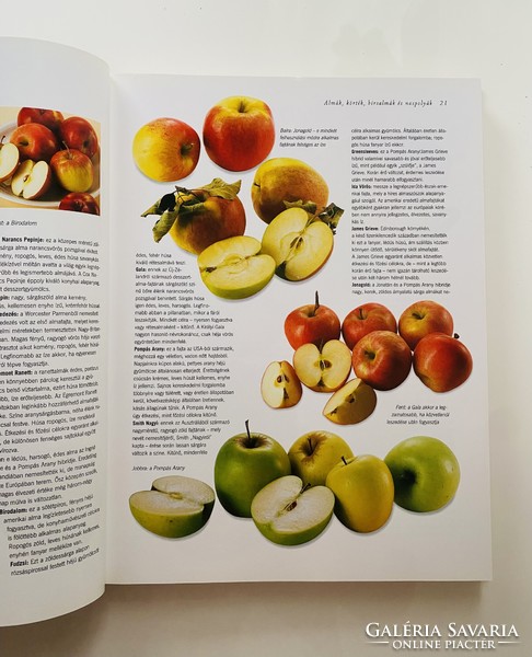 Gyümölcs enciklopédia 256 oldal, 30x24 cm gyönyörű színes album