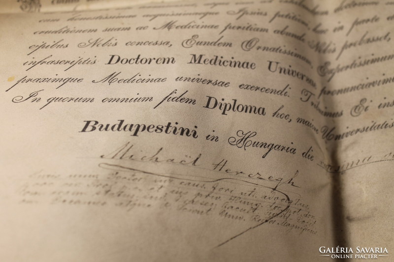 1898-as Doktori pergamen oklevél viasz pecséttel 607