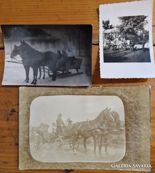 Three old photos of horse-drawn vehicles are for sale together. Carriage, cart, sleigh.