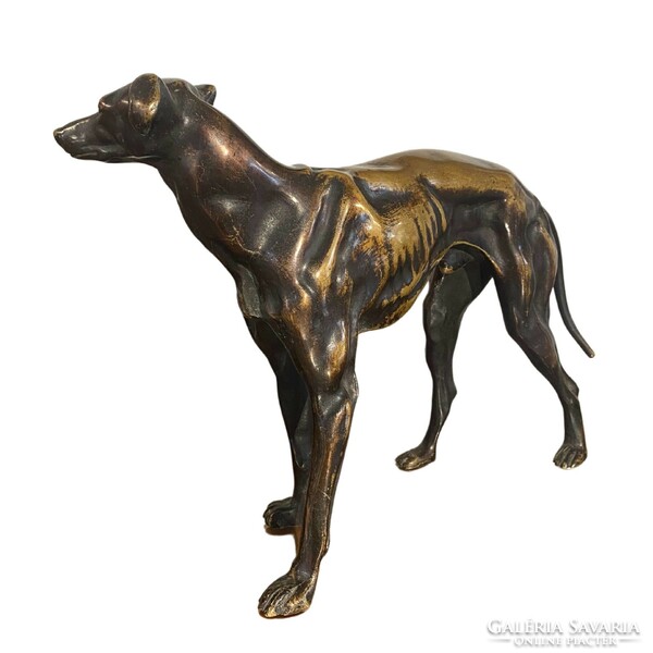 Bronze greyhound m763
