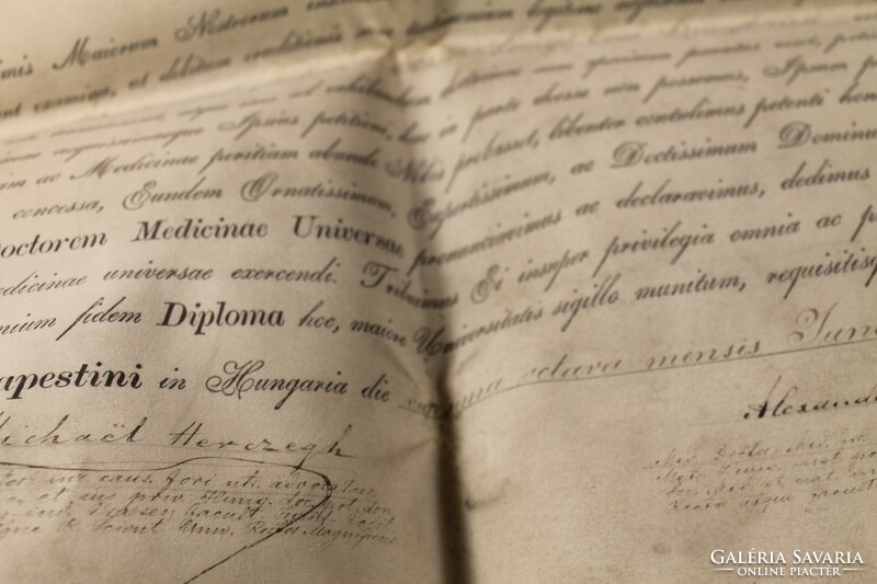 1898-as Doktori pergamen oklevél viasz pecséttel 607