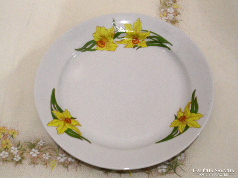 Alföldi porcelain flat plate