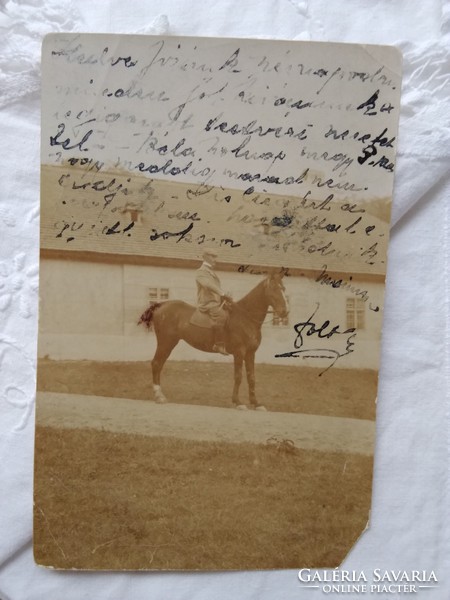 Antik szépia hosszúcímzéses fotólap/képeslap, ló, és lovasa