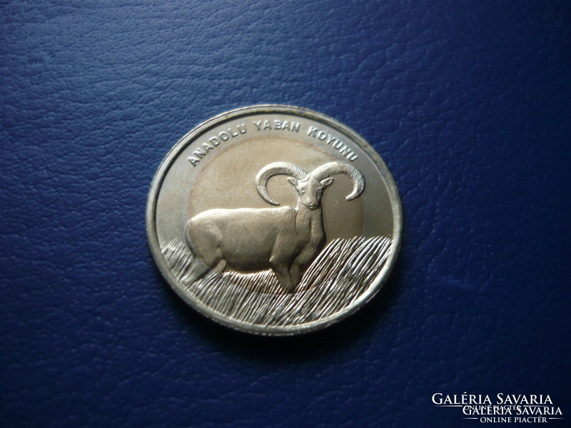 Turkey 1 lira 2015 Turkish animals: mouflon! Bimetal! Ouch!