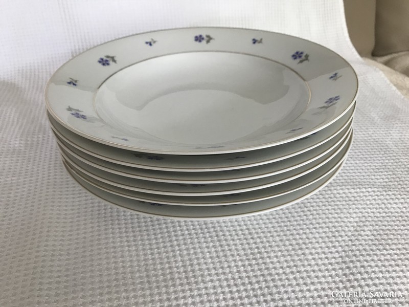 Schodau/schlaggenwald dining porcelain set