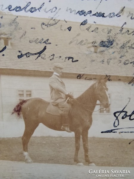 Antique sepia long address photo / postcard, horse, and rider