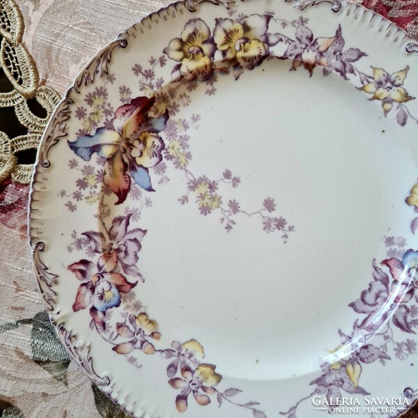 Antique English faience cauldon orchid decorated bowl, plate