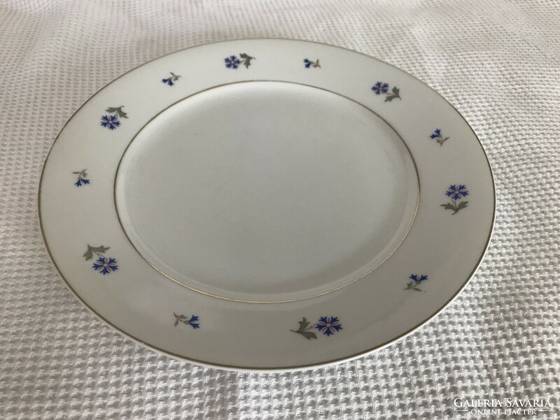 Schodau/schlaggenwald dining porcelain set