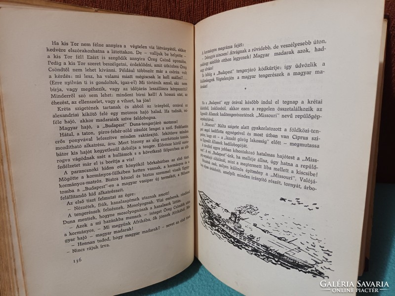 Afrikából jöttek... - Dékány András - 1958 - Móra Ferenc Ifjúsági Könyvkiadó