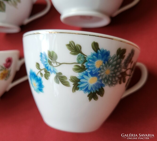 Diadem Bareuther Waldsassen Bavaria német és kínai porcelán csésze csomag virág mintával