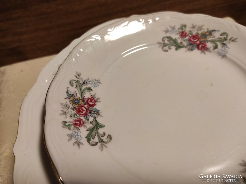 Polish floral porcelain plate set.