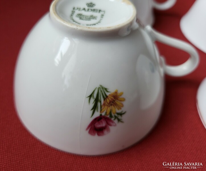 Diadem Bareuther Waldsassen Bavaria német és kínai porcelán csésze csomag virág mintával
