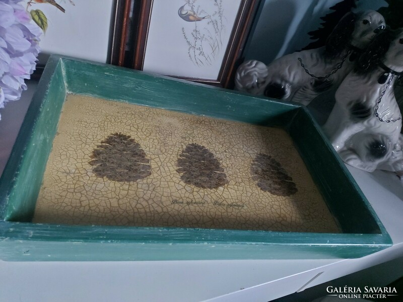 Huge, solid, painted wooden tray with cone decor on the inside (54x37x7cm)