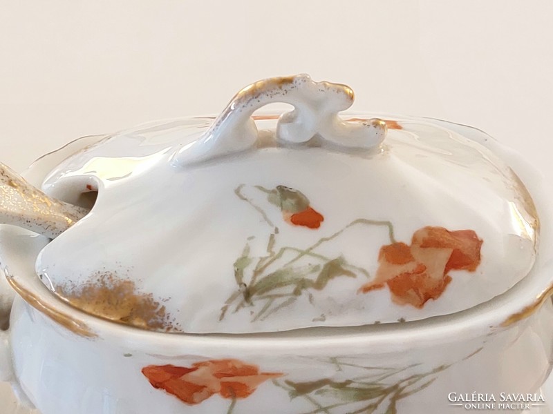Old Viennese porcelain bowl with protected lid offering caviar with a poppy pattern