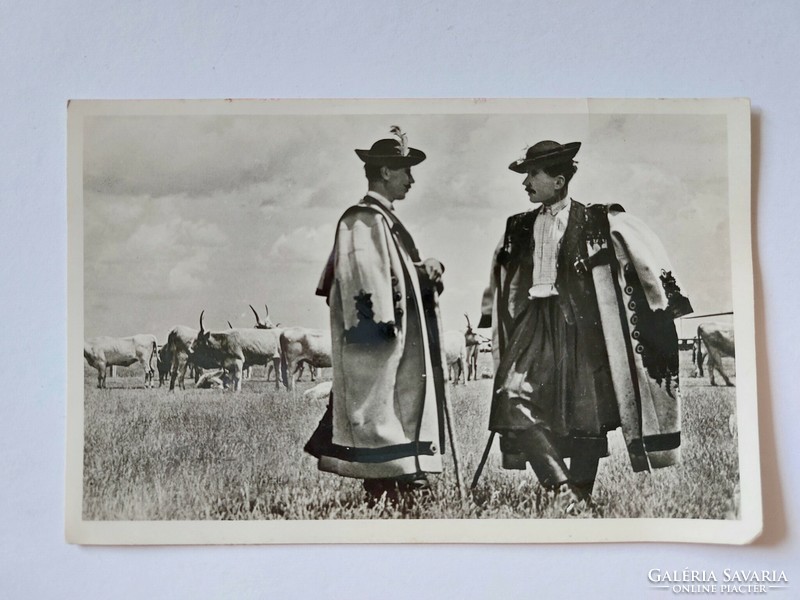 Old postcard Hortobágy foals folk costume