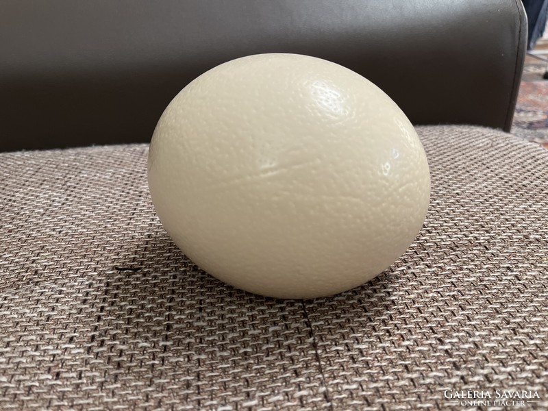 Blown-up ostrich egg, an interesting ornament that can be painted, but also without it :)