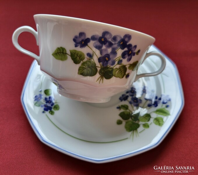 Winterling marktleuthen bavaria german porcelain soup cup small plate saucer bowl violet flower